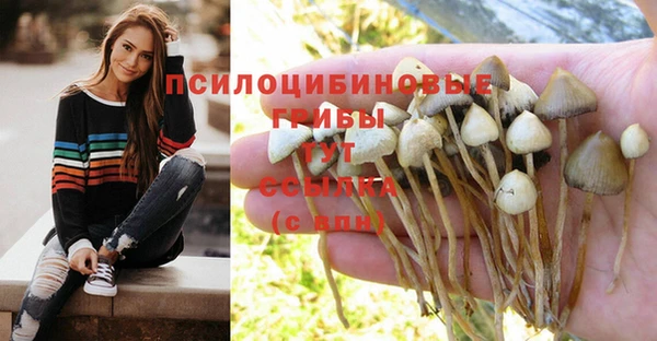 гидропоника Пестово