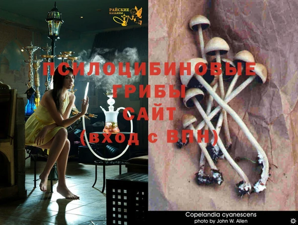 гашиш Алзамай