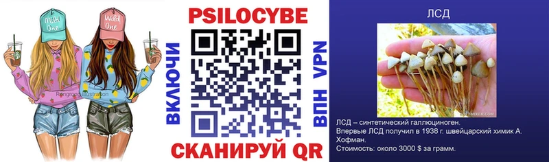 Псилоцибиновые грибы мицелий  Новомичуринск 